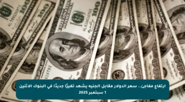 ارتفاع مفاجئ.. سعر الدولار مقابل الجنيه يشهد تغيرًا جديدًا في البنوك الاثنين 1 سبتمبر 2025